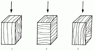 древесина и ее свойства. Механические свойства древесины